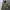 Zara Camouflage Fleece Parka Jacket photo 1
