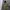 Zara Camouflage Fleece Parka Jacket