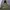 Zara Camouflage Fleece Parka Jacket photo 2