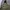 Zara Camouflage Fleece Parka Jacket