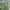 Fatigue Pants Relume Military photo 6