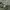 Fatigue Pants Relume Military photo 8