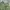 Fatigue Pants Relume Military photo 5