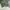 Fatigue Pants Relume Military photo 3