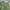Fatigue Pants Relume Military photo 7