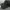 Woodland Army Camo photo 3