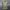 FILA Stripe Midi Dress For Casual photo 8