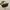 longchamp mini bag green army photo 1