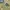 Women Jersey Nike Brazil Authentic photo 4