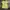 Women Jersey Nike Brazil Authentic photo 2