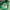 Women Jersey Nike Brazil Authentic photo 3
