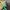 Women Jersey Nike Brazil Authentic photo 6