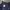 Converse Casual Windbreaker Pria navy photo 6