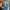 Celana Pendek Under Armour Baby Blue Original photo 5