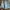 Celana Pendek Under Armour Baby Blue Original photo 2