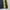 Nike Casual Windbreaker Pria yellow navy photo 5