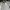 Polo Shirt Fred Perry White Twin Tipped Second photo 3