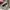Polo Shirt Fred Perry White Twin Tipped Second photo 5