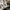 Covernat  Sherpa Jacket White Original photo 5