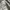 Covernat  Sherpa Jacket White Original photo 4