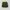 Eider Gorpcore Short Pria Green