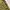 Eider Gorpcore Short Pria green photo 5