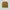 The North Face Gorpcore Short Pria yellow photo 1