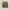 The North Face Gorpcore Short Pria Yellow