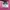 New Valance 990 v4 Teddy Santis photo 4