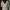 Vivienne Westwood Casual Capes & poncho Wanita cream photo 1