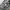 IPFU US Army Jacket photo 7