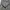 IPFU US Army Jacket photo 2