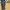 Dickies Double Knee Dark Navy