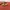 Sepatu Slip On Vintage Sperery top sider photo 6