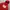 Uniqlo Minimalist Hoody Pria red photo 2