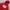 Uniqlo Minimalist Hoody Pria Red