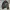 flight bomber jacket casual photo 5