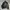 flight bomber jacket casual photo 6