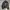 flight bomber jacket casual photo 3