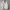 Corduroy jacket big size  photo 3