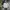 Corduroy jacket big size  photo 2