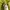 Montbell Streetwear Outerwear Kids yellow blue photo 4