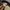 The North Face lumbar fanny pack waist bag photo 6