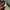 The North Face lumbar fanny pack waist bag photo 7