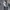 Vtg Big Pocket Hickory ECKO UNLTD photo 6