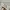 New Balance Sportswear Casual Sneakers Wanita white photo 6