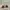 New Balance Sportswear Casual Sneakers Wanita white photo 4