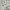 New Balance Sportswear Casual Sneakers Wanita white photo 1