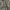Realtree camouflage vintage outer photo 5