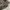 Realtree camouflage vintage outer photo 4